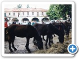 Adunata di Treviso 1994 - img-064