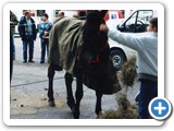 Adunata di Treviso 1994 - img-066