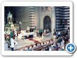 116° delle T.A. 1988-011